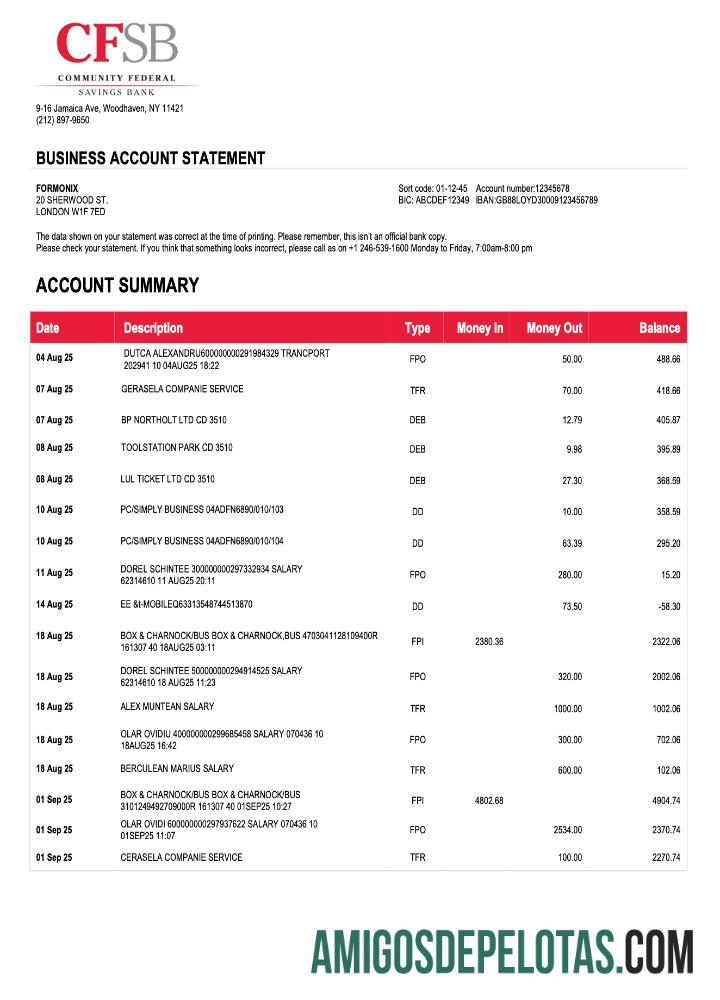 Em branco USA CFSB Firm modelo de extrato de conta Word e PDF